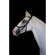 Load image into Gallery viewer, Aria Anatomic Black Italian Leather Bridle (Euro Version)
