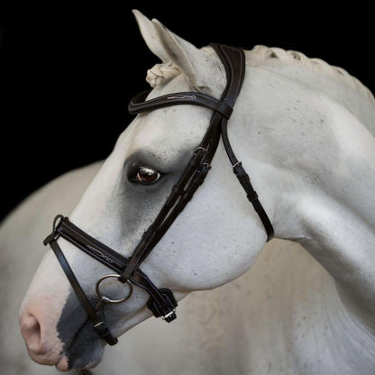 Milan Italian Leather Bridle (Convertible) (No reins)