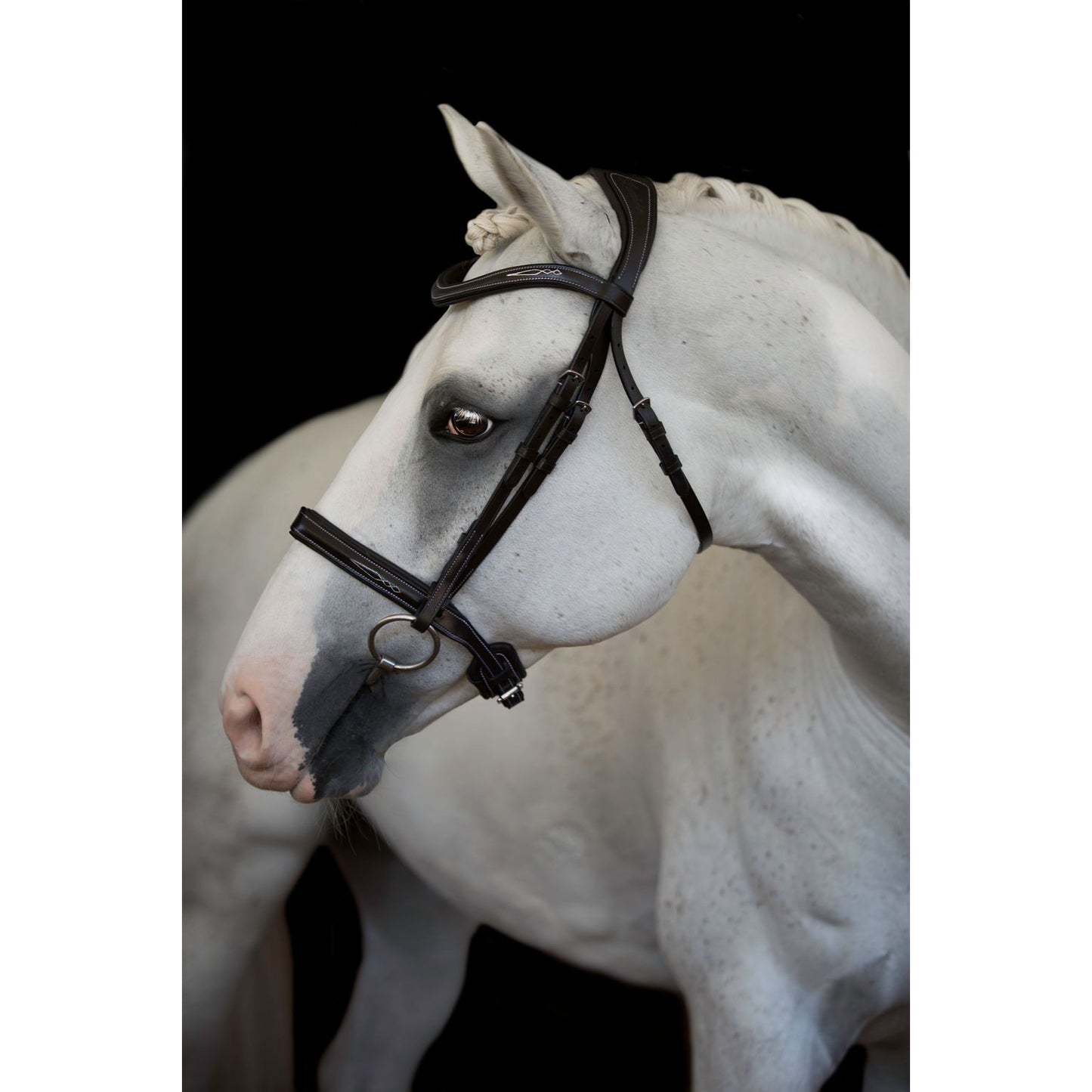 Milan Italian Leather Bridle (Convertible) (No reins)