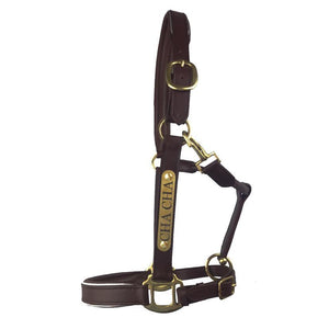 Leather Halter - Brass Fittings with Engraved Horse Nameplate