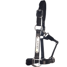 Load image into Gallery viewer, Black Leather Halter - Patent Piping with Engraved Horse Nameplate