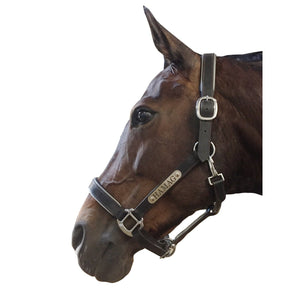 Leather Halter - Silver Fittings with Engraved Horse Nameplate
