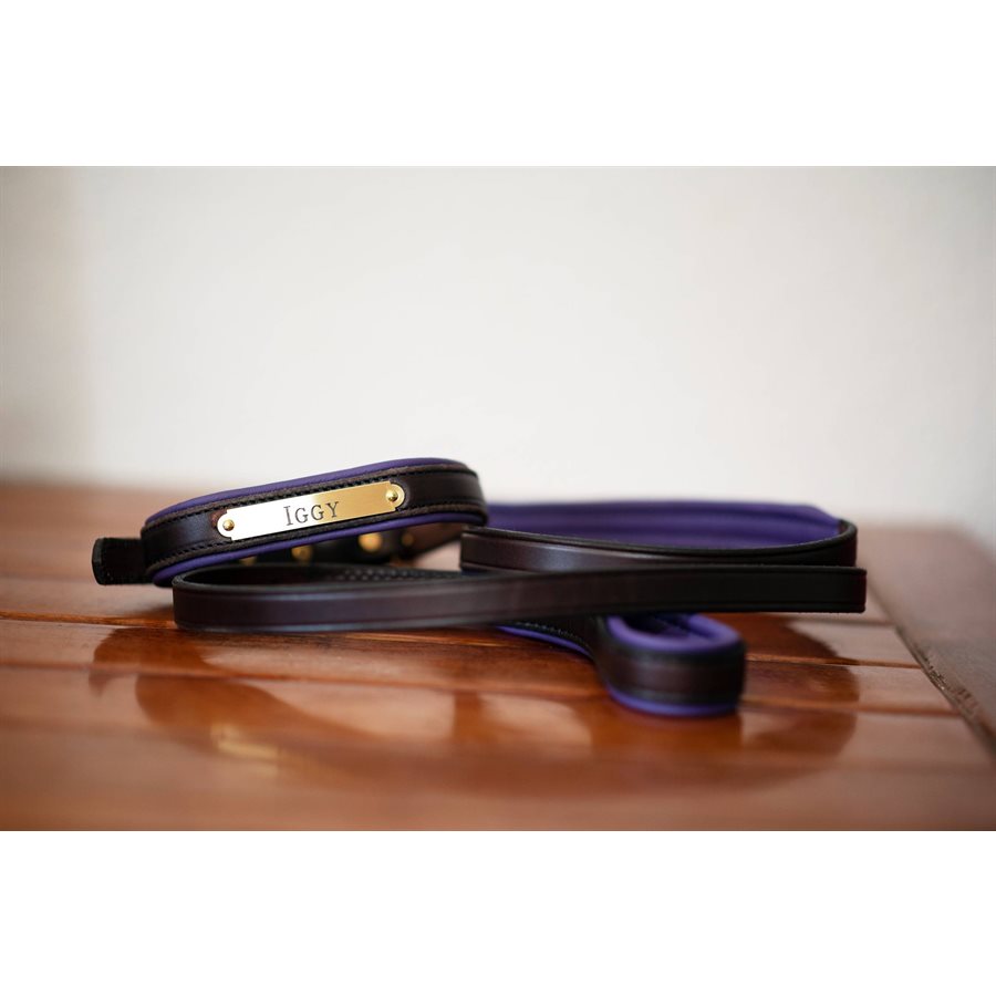 Padded Leather Dog Collar with plate