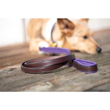 Load image into Gallery viewer, Padded Leather Dog Leash