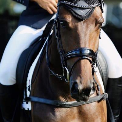 Alicia Dressage Breastplate