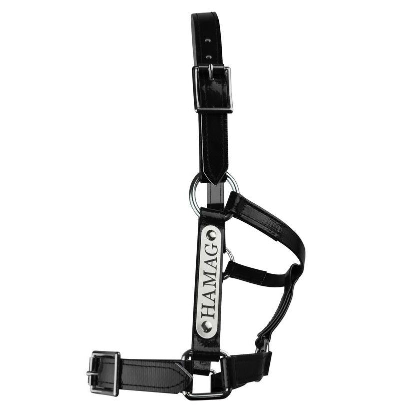 Black PVC Halter - Stainless Steel Fittings with Engraved Horse Nameplate