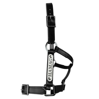 Black PVC Halter - Stainless Steel Fittings with Engraved Horse Nameplate