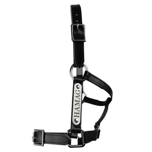 Black PVC Halter - Silver Fittings with Engraved Horse Nameplate
