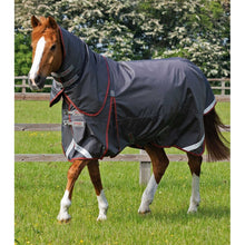 Load image into Gallery viewer, Buster 150g Turnout Rug with Classic Neck Cover