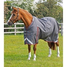 Load image into Gallery viewer, Buster 150g Turnout Rug with Classic Neck Cover