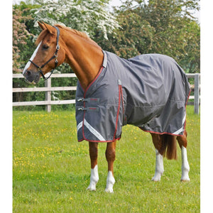 Buster 150g Turnout Rug with Classic Neck Cover