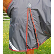 Load image into Gallery viewer, Buster 150g Turnout Rug with Classic Neck Cover