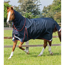 Load image into Gallery viewer, Buster 150g Turnout Rug with Classic Neck Cover