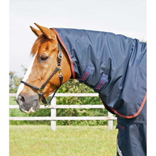 Load image into Gallery viewer, Buster 150g Turnout Rug with Classic Neck Cover