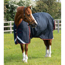 Load image into Gallery viewer, Buster 150g Turnout Rug with Classic Neck Cover