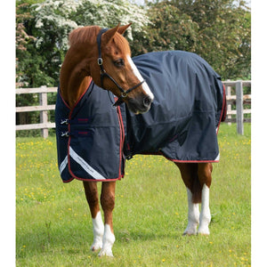 Buster 150g Turnout Rug with Classic Neck Cover