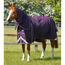 Load image into Gallery viewer, Buster 70g Turnout Rug with Classic Neck Cover