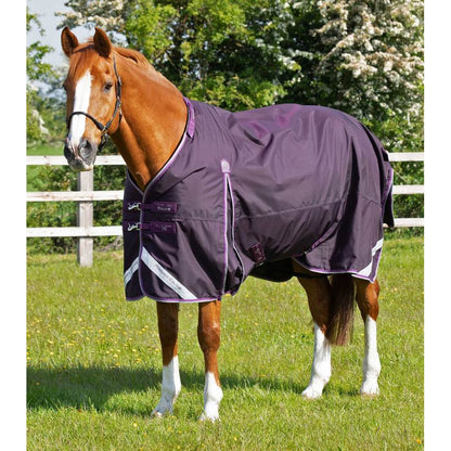 Buster 70g Turnout Rug with Classic Neck Cover