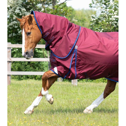 Buster 40g Turnout Rug with Classic Neck Cover