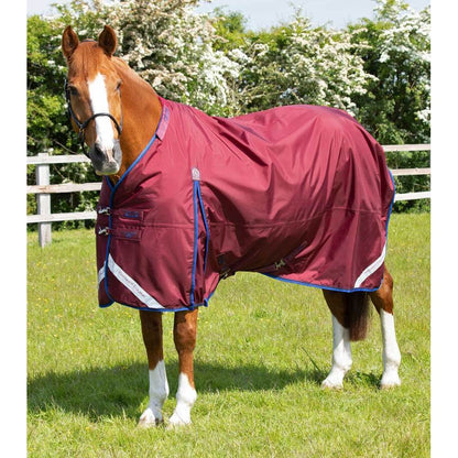 Buster 40g Turnout Rug with Classic Neck Cover