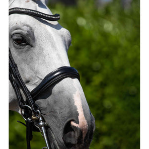 Abriano Anatomic Double Bridle (No reins)