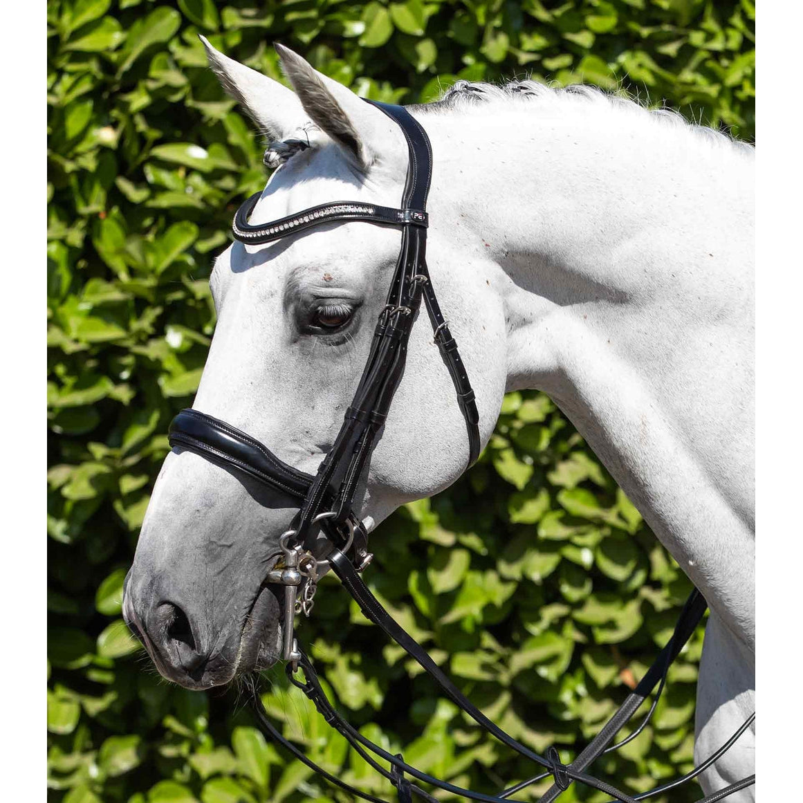 Abriano Anatomic Double Bridle (No reins)