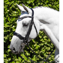 Load image into Gallery viewer, Abriano Anatomic Double Bridle (No reins)