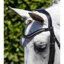 Load image into Gallery viewer, Abriano Anatomic Double Bridle (No reins)