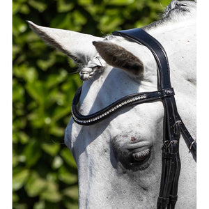 Abriano Anatomic Double Bridle (No reins)
