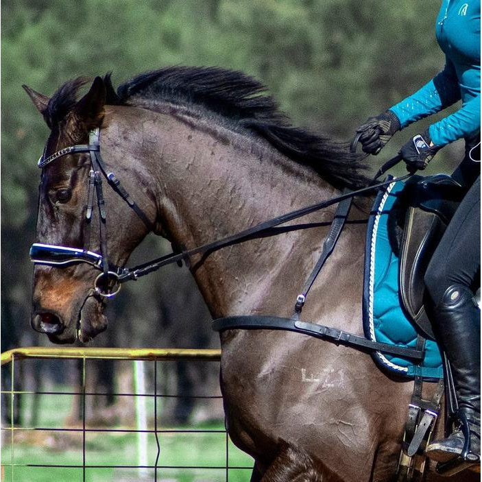 Alicia Dressage Breastplate
