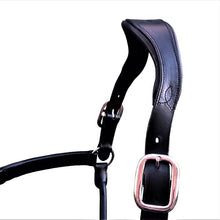 Load image into Gallery viewer, Alize Leather Halter