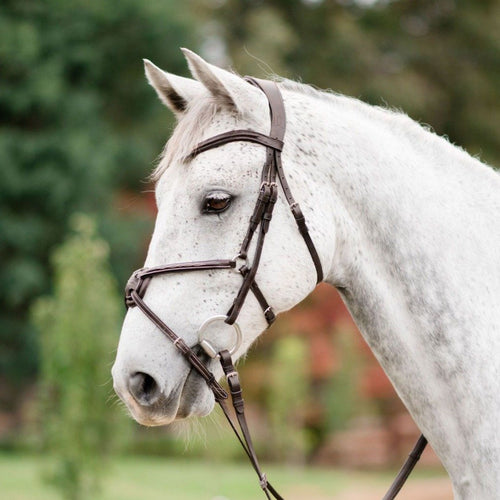 Ava Italian Leather Grackle Bridle (No Sheepskin)