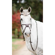 Load image into Gallery viewer, Ava Italian Leather Grackle Bridle (No Sheepskin)