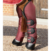 Load image into Gallery viewer, Ballistic Knee Pro-Tech Horse Travel Boots