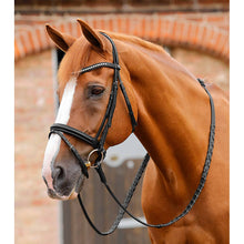 Load image into Gallery viewer, Bellissima Crank Bridle with Diamante Browband (No reins)