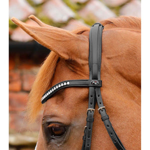 Bellissima Crank Bridle with Diamante Browband (No reins)