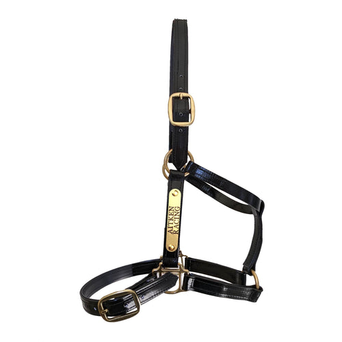 Black PVC Halter - Brass Fittings with Engraved Horse Nameplate