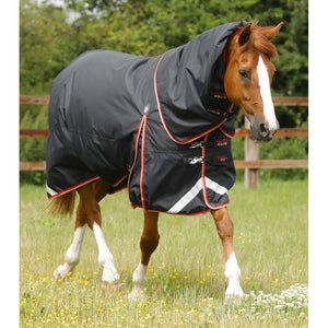 Buster 100g Turnout Rug with Snug-Fit Neck Cover