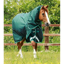 Load image into Gallery viewer, Buster 200g Turnout Rug with Snug-Fit Neck Cover