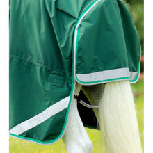 Load image into Gallery viewer, Buster 200g Turnout Rug with Snug-Fit Neck Cover