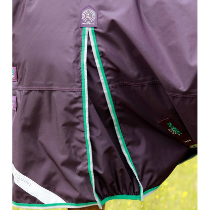 Buster 200g Turnout Rug with Snug-Fit Neck Cover