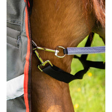 Load image into Gallery viewer, Buster 250g Turnout Rug with Classic Neck Cover