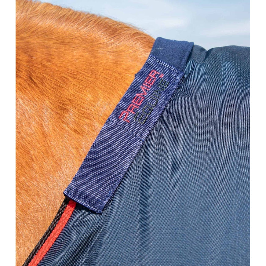 Buster 250g Turnout Rug with Classic Neck Cover
