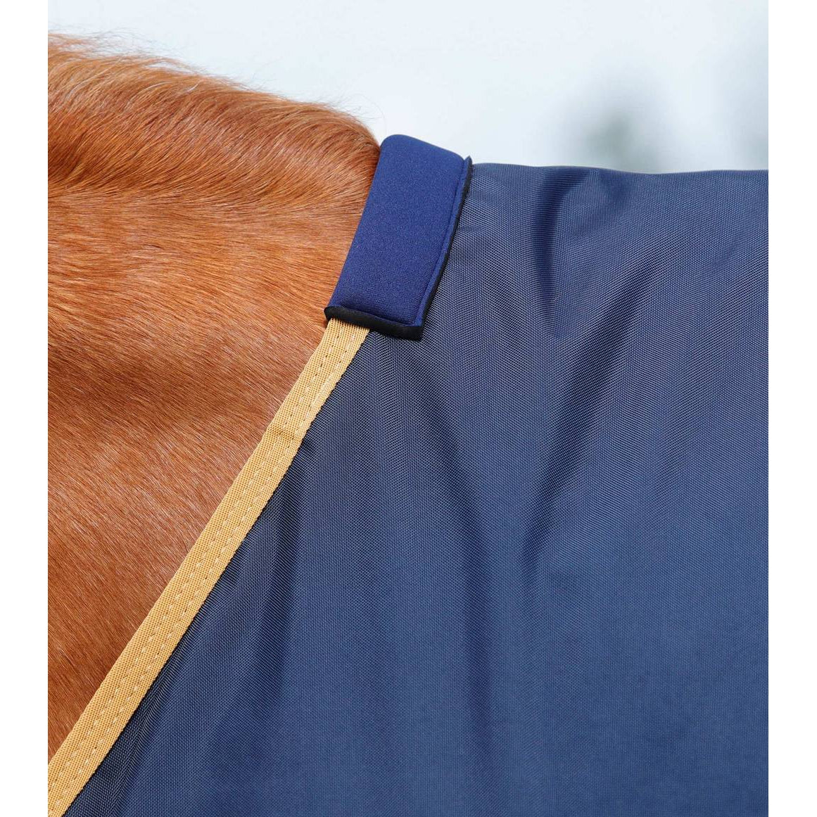 Buster 50g Original Turnout Rug