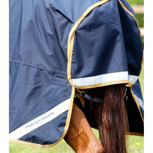 Load image into Gallery viewer, Buster 50g Original Turnout Rug