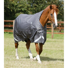 Load image into Gallery viewer, Buster Hardy 0g Half Neck Turnout Rug