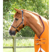 Load image into Gallery viewer, Buster Hardy 200g Half Neck Turnout Rug