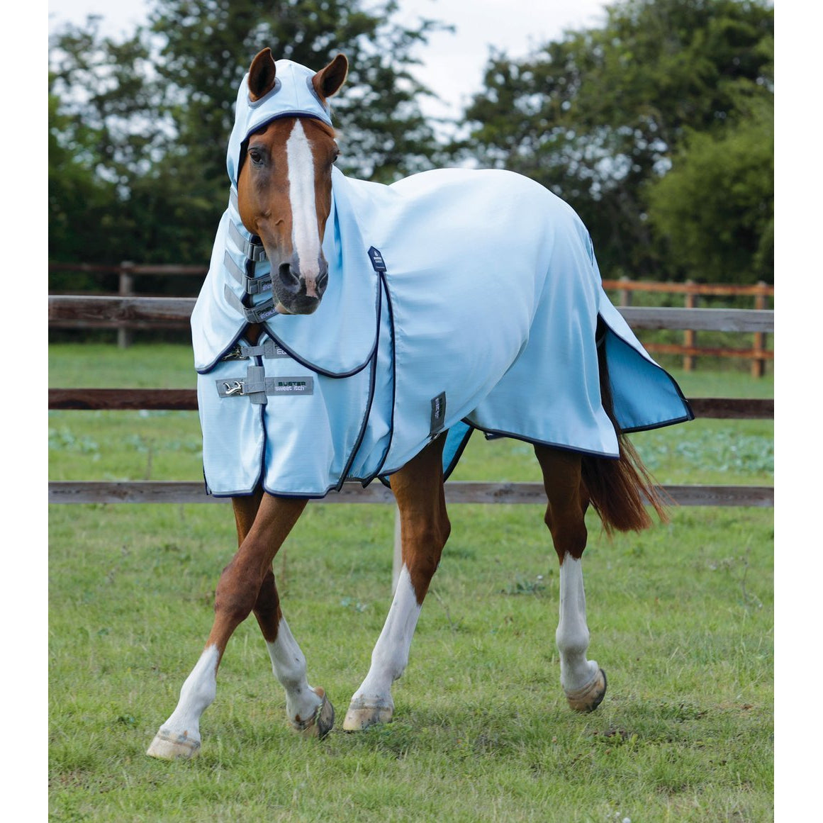 Buster Sweet Itch Fly Rug with Surcingles
