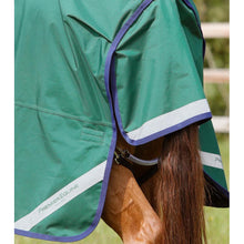 Load image into Gallery viewer, Buster Zero Original Turnout Rug