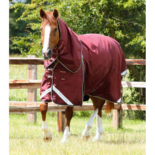 Load image into Gallery viewer, Buster Zero Turnout Rug with Classic Neck Cover